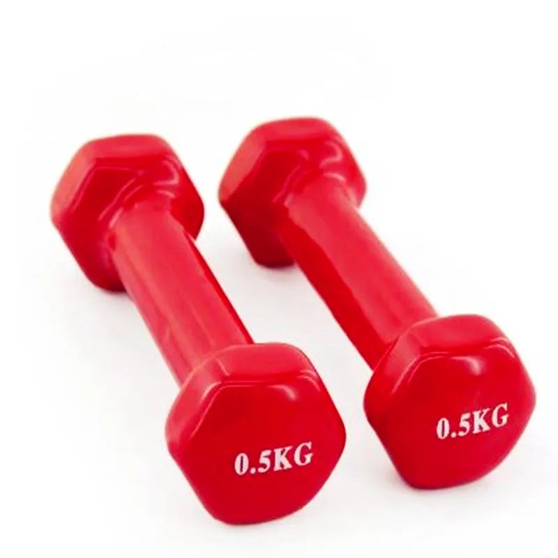 Women Smooth Hexagonal Dumbbell Weight Loss Slimming Slim Waist Fitness Equipment Mancuernas Cast Iron Dip in Dumbbell